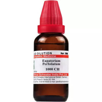 Dr. Willmar Schwabe India Eupatorium Perfoliatum Dilution - Grab2buy
