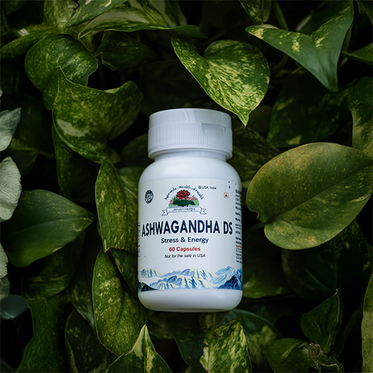 Ayush Herbs Ashwagandha DS | Stress Relief, Energy & Stamina Support (60 Capsules)