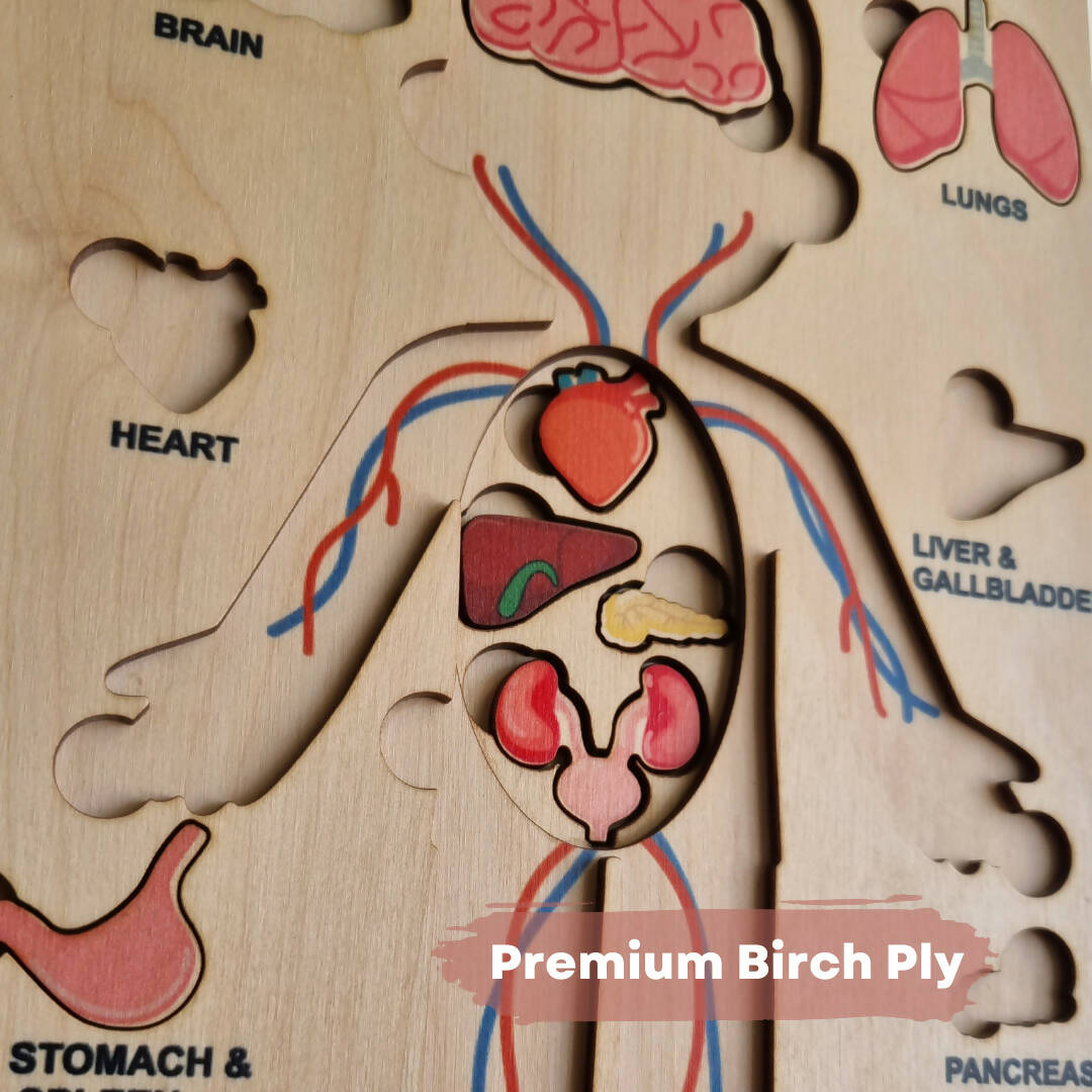 Nesta Toys Human Body | Internal Organs Wooden Puzzle - Grab2buy