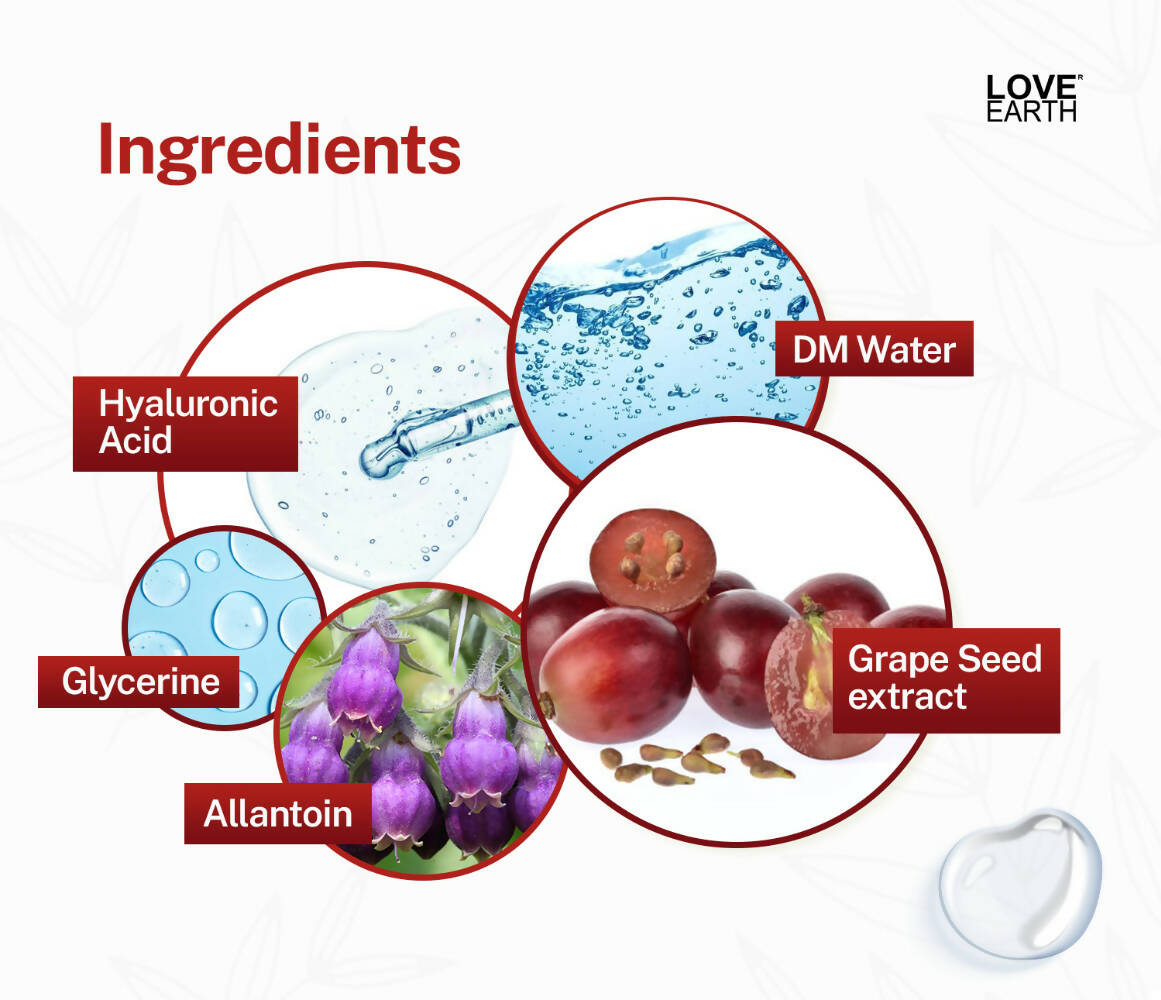 Love Earth Hyaluronic Acid Toner - Grab2buy
