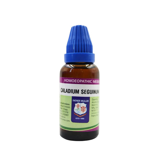 Father Muller Caladium Seguinum Mother Tincture Q - Grab2buy