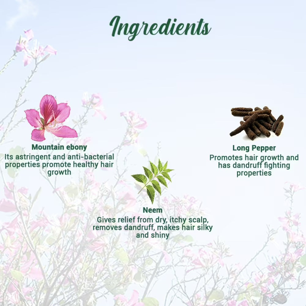 Biotique Bio Mountain Ebony Vitalizing Serum - Grab2buy