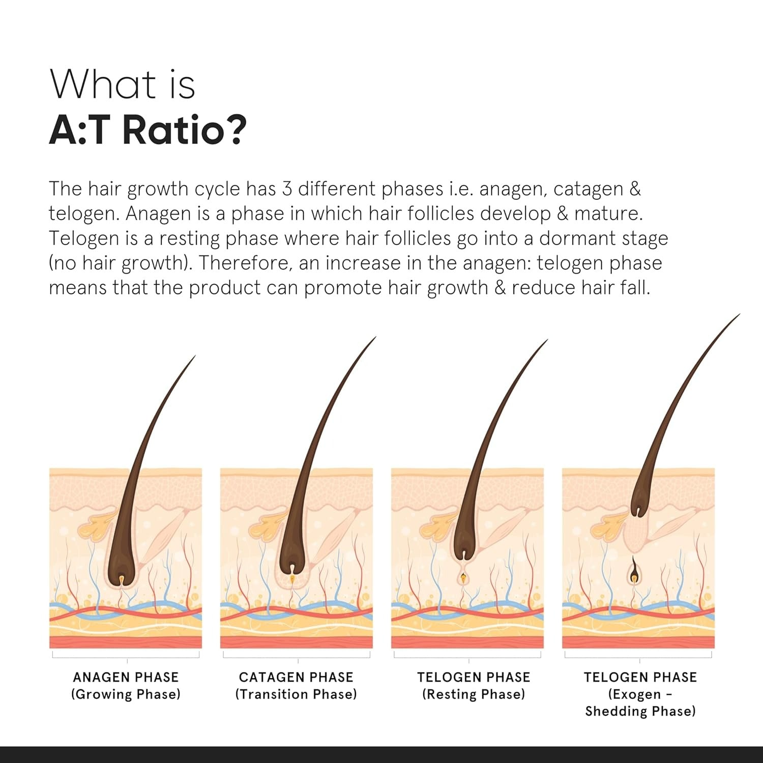 Minimalist Hair Growth Actives 18% - Grab2buy