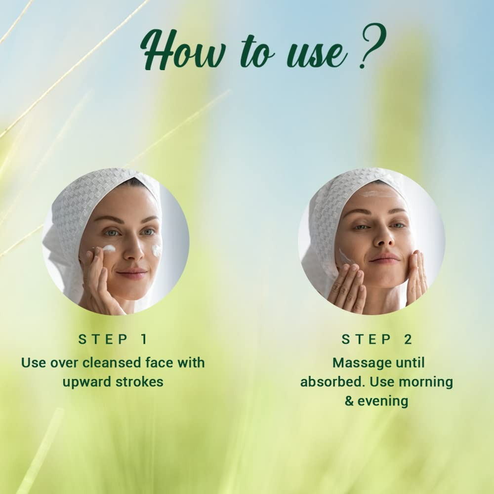 Biotique Advanced Ayurveda WheatGerm Anti-Ageing Night Cream - Grab2buy