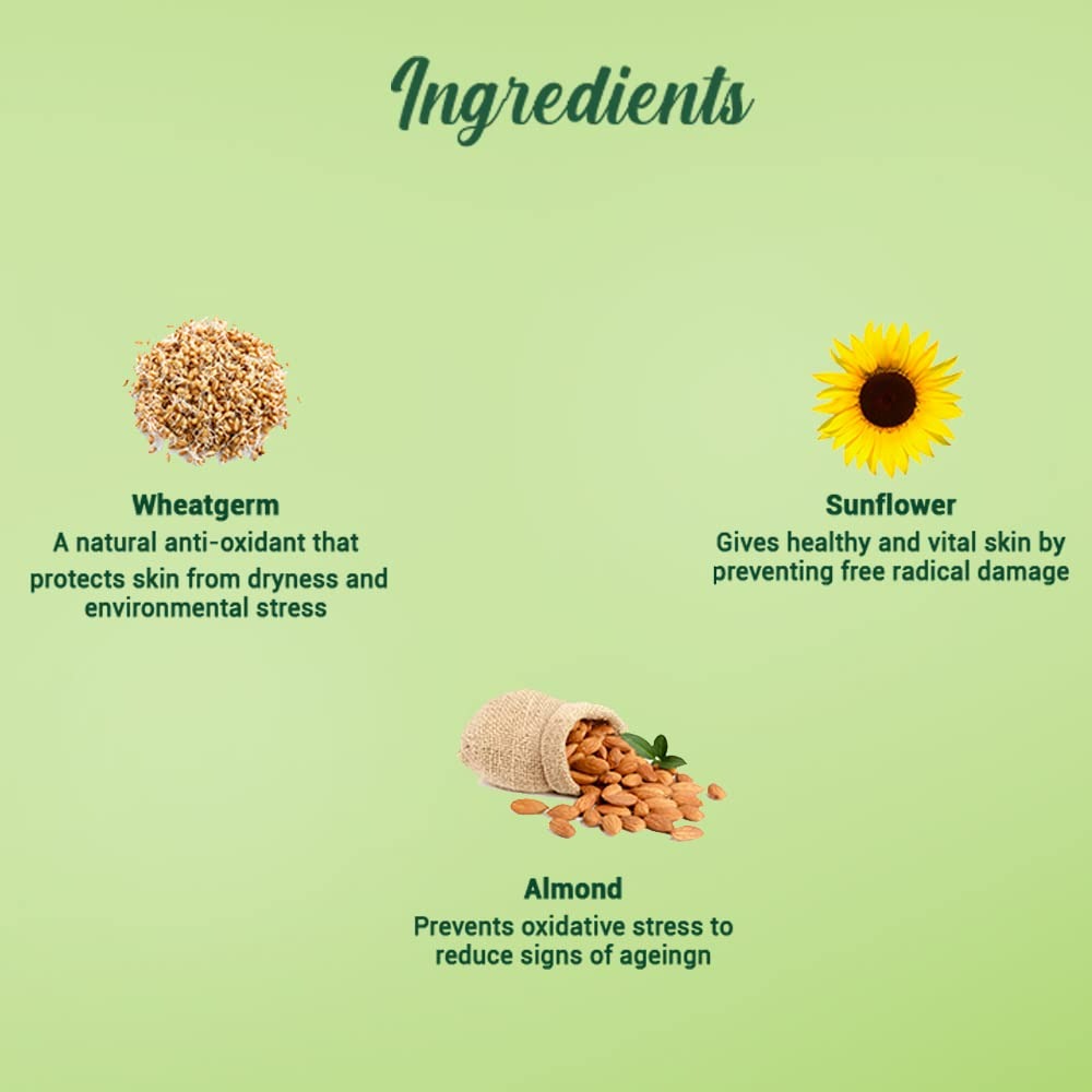 Biotique Advanced Ayurveda WheatGerm Anti-Ageing Night Cream - Grab2buy