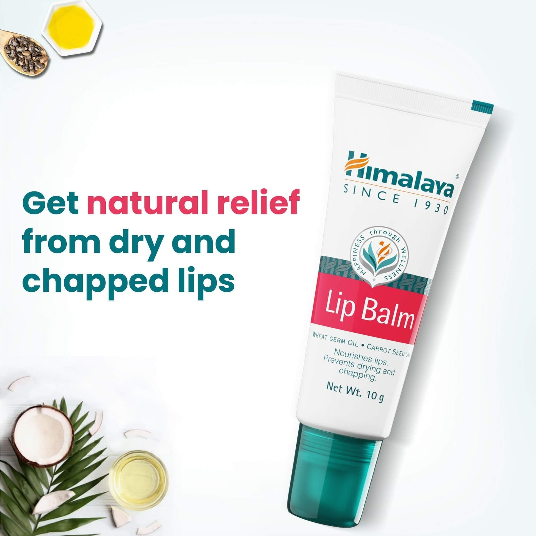Himalaya Herbals Lip Balm - Distacart