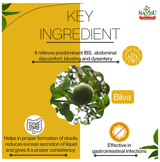 Sandu Bilagyl Genie India