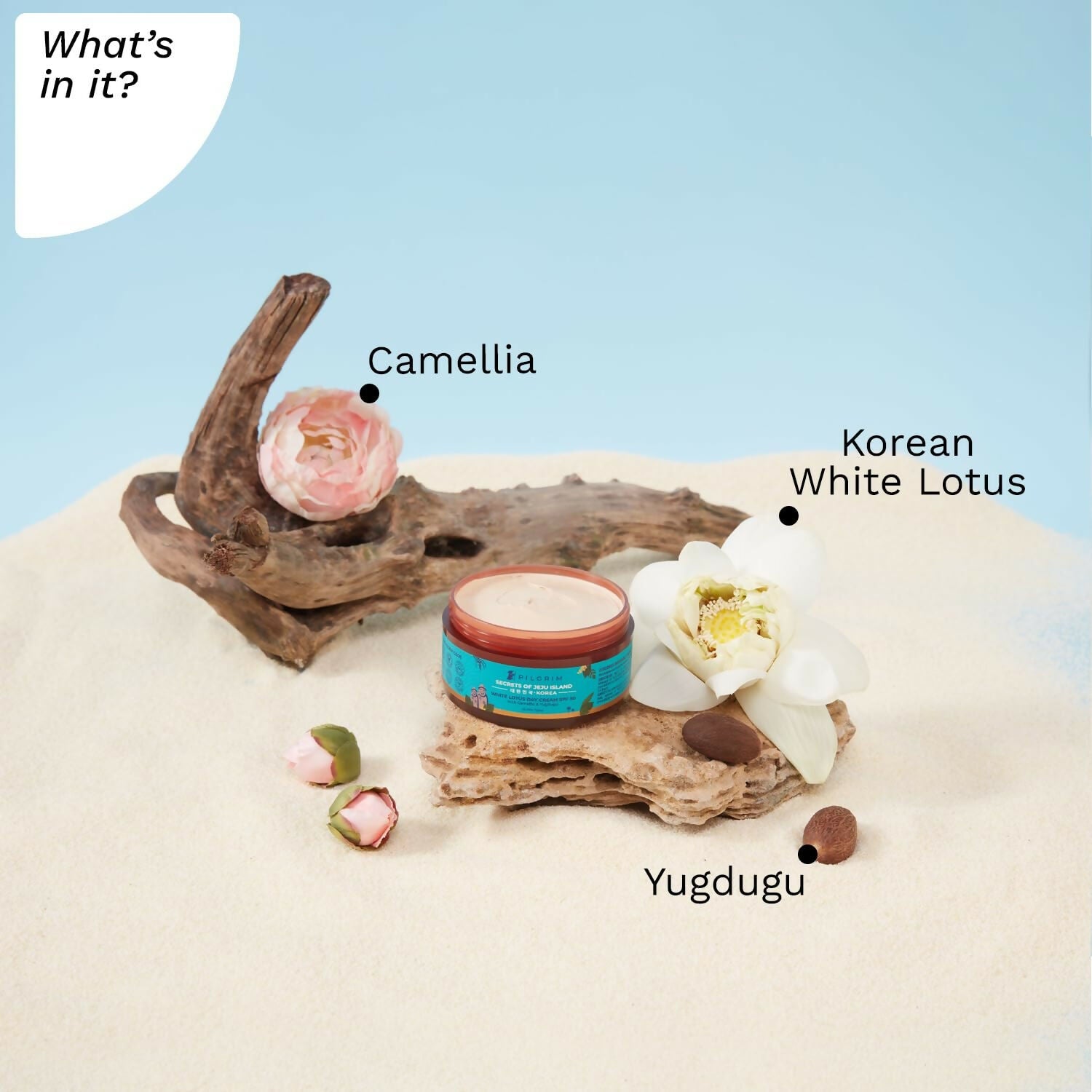Pilgrim Korean White Lotus Day Cream SPF 50 With Camellia And Yugdugu - Grab2buy
