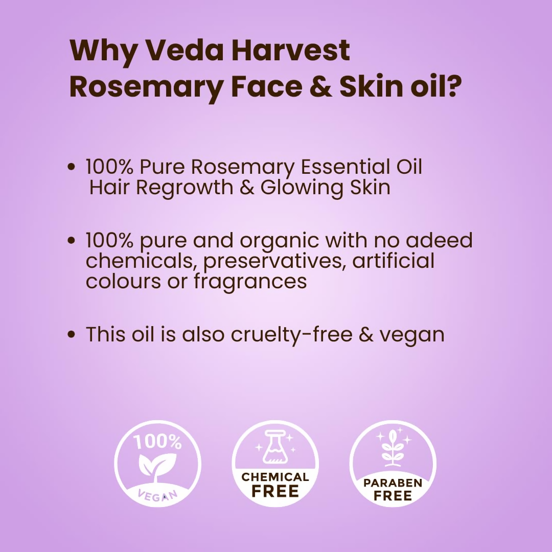 download - 2024-09-23T153024.597