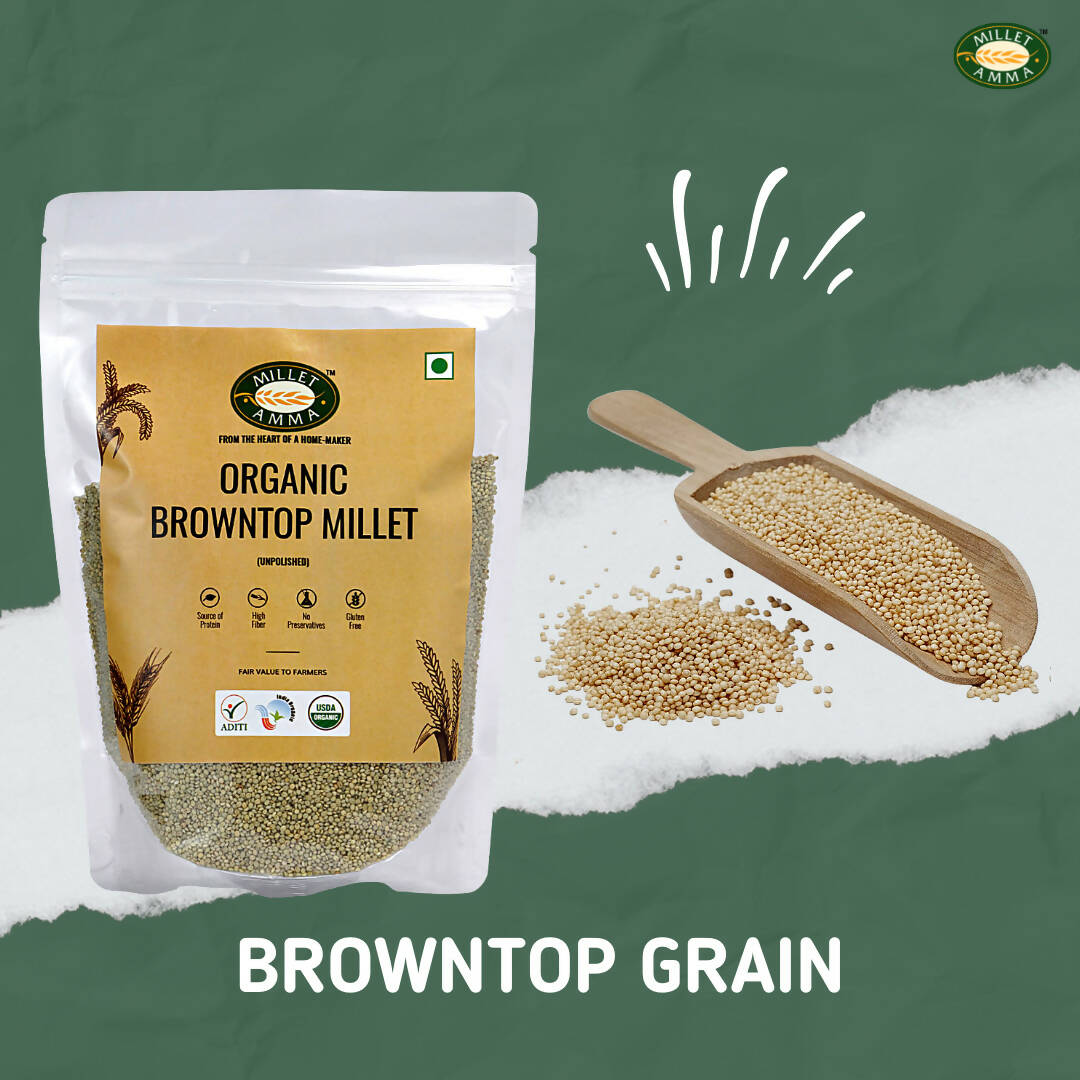 Millet Amma Organic Browntop Millet Grains - Grab2buy