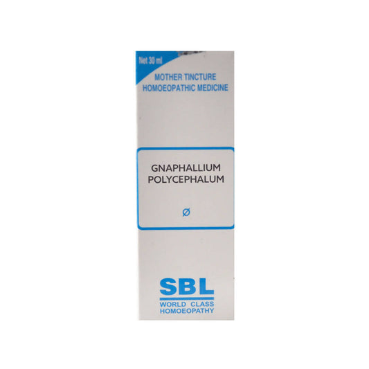 SBL Homeopathy Gnaphalium Polycephalum Mother Tincture Q - Grab2buy