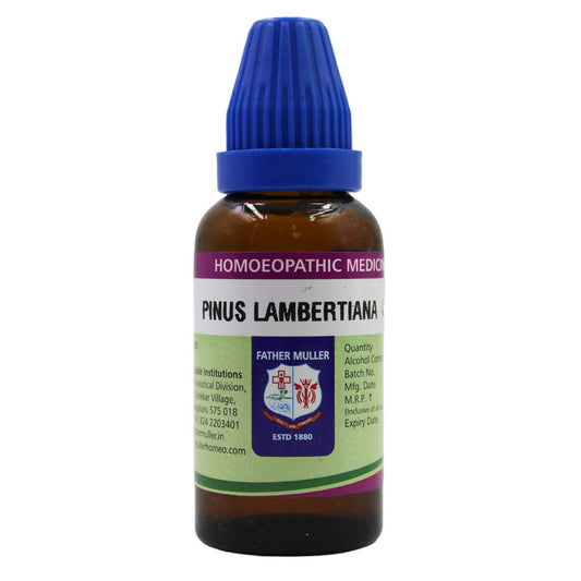 Father Muller Pinus Lambertiana Mother Tincture Q - Grab2buy