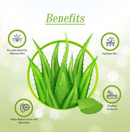 Wild Organic Pure & Natural Aloevera Gel Grab2Buy Wild Organic Grab2Buy