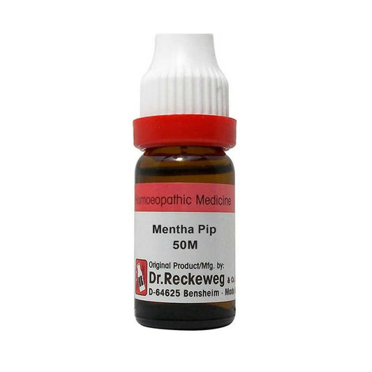 Dr. Reckeweg Mentha Pip Dilution - Grab2buy