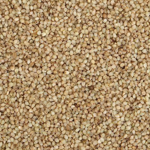 Organic Little Millet - Grab2buy