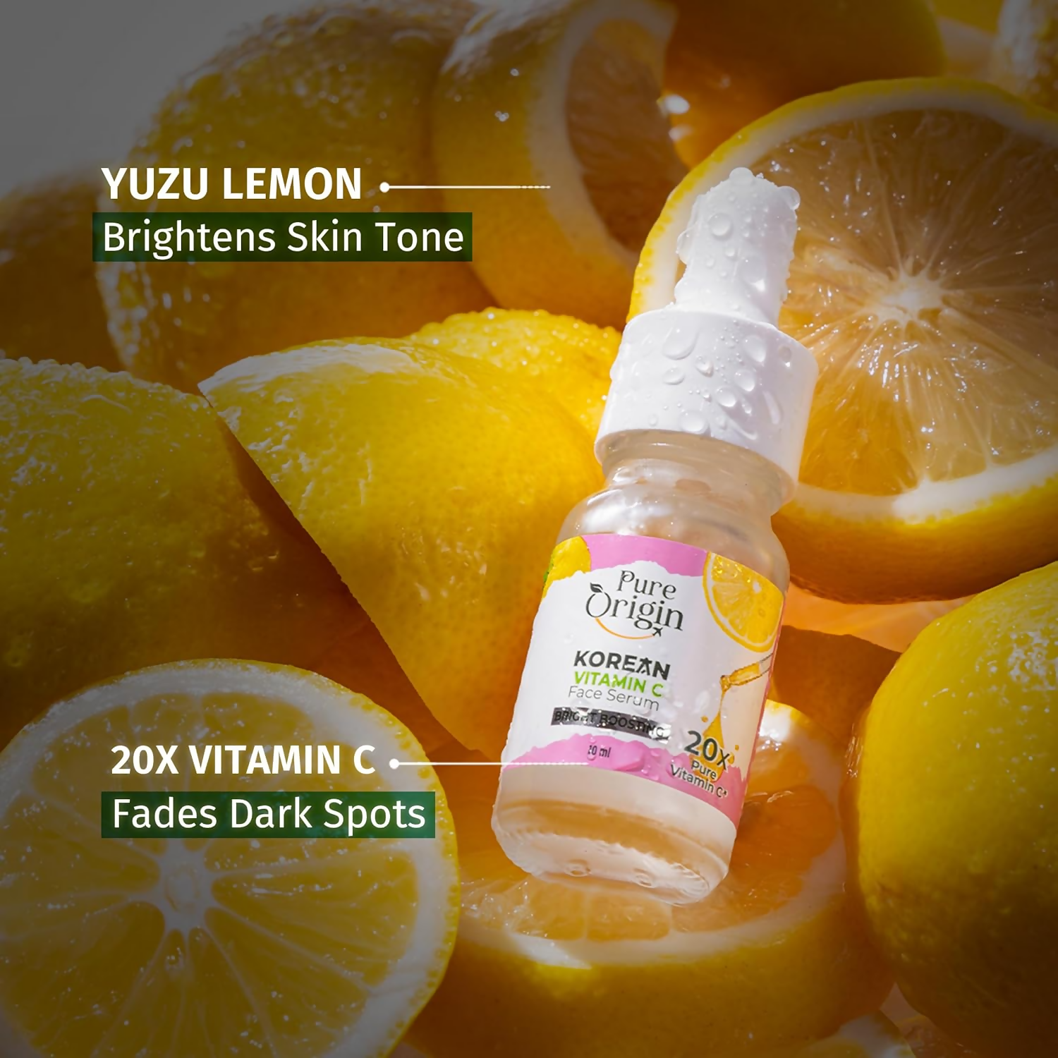 download - 2024-11-19T130450.766