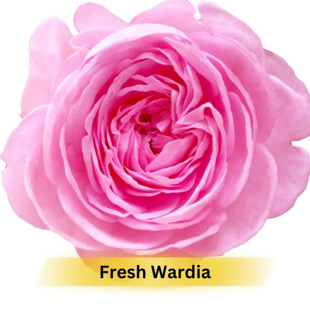 Prakriti Herbal Soap Fresh Wardia - Distacart