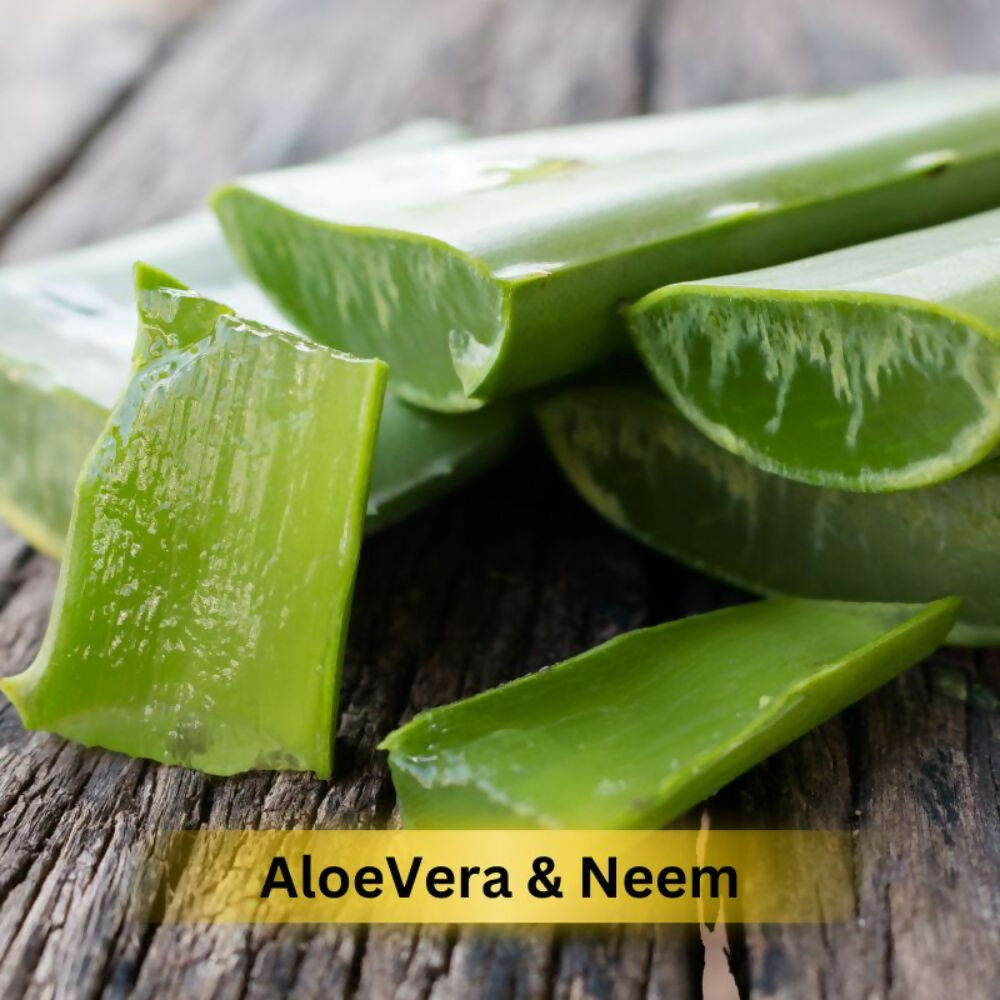 Prakriti Herbal Soap Aloevera and Neem - Grab2buy