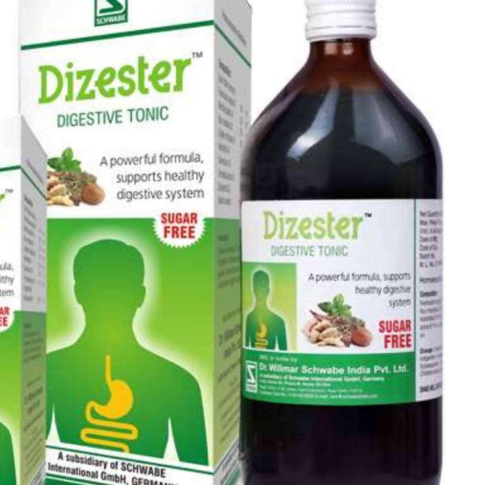 Dr. Willmar Schwabe India Dizester Digestive Tonic - Grab2buy