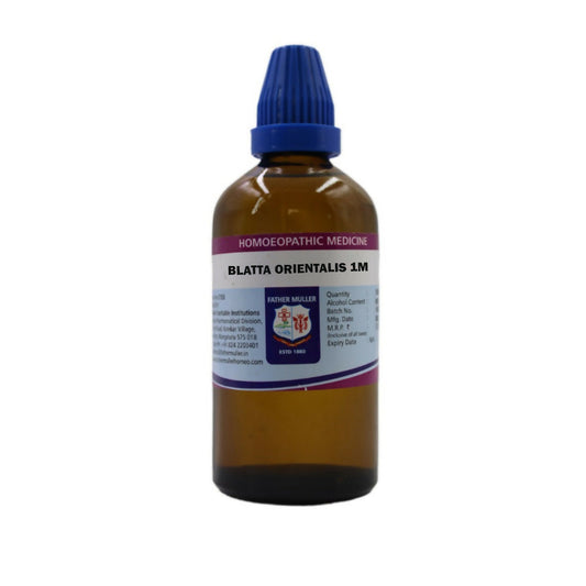 Father Muller Blatta Orientalis Dilution