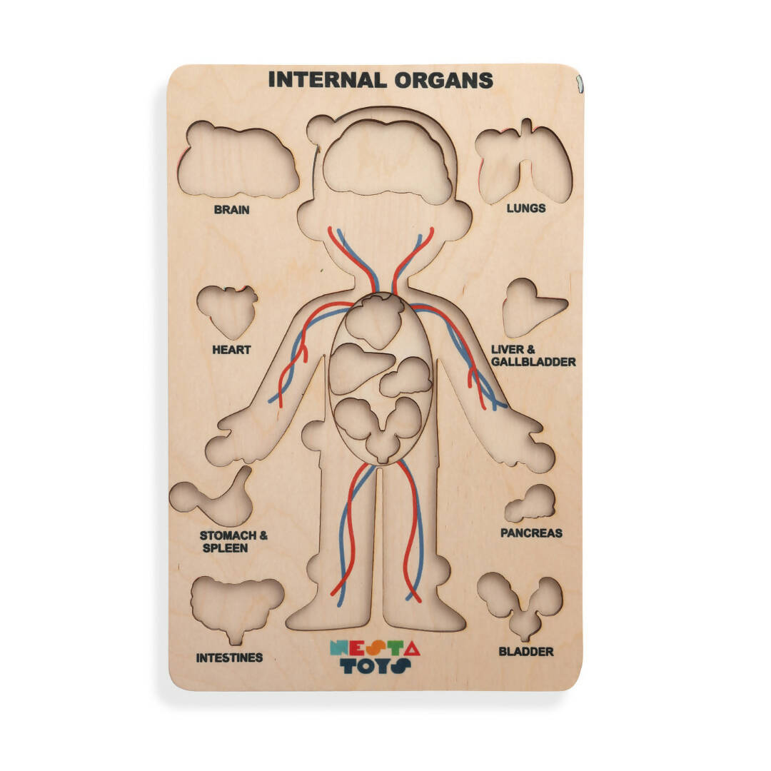Nesta Toys Human Body | Internal Organs Wooden Puzzle - Grab2buy