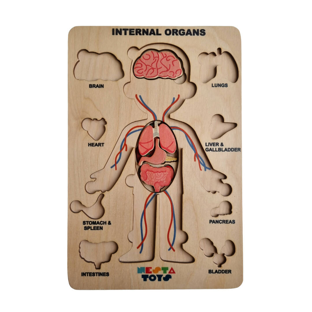 Nesta Toys Human Body | Internal Organs Wooden Puzzle - Grab2buy