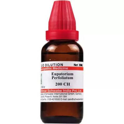 Dr. Willmar Schwabe India Eupatorium Perfoliatum Dilution - Grab2buy