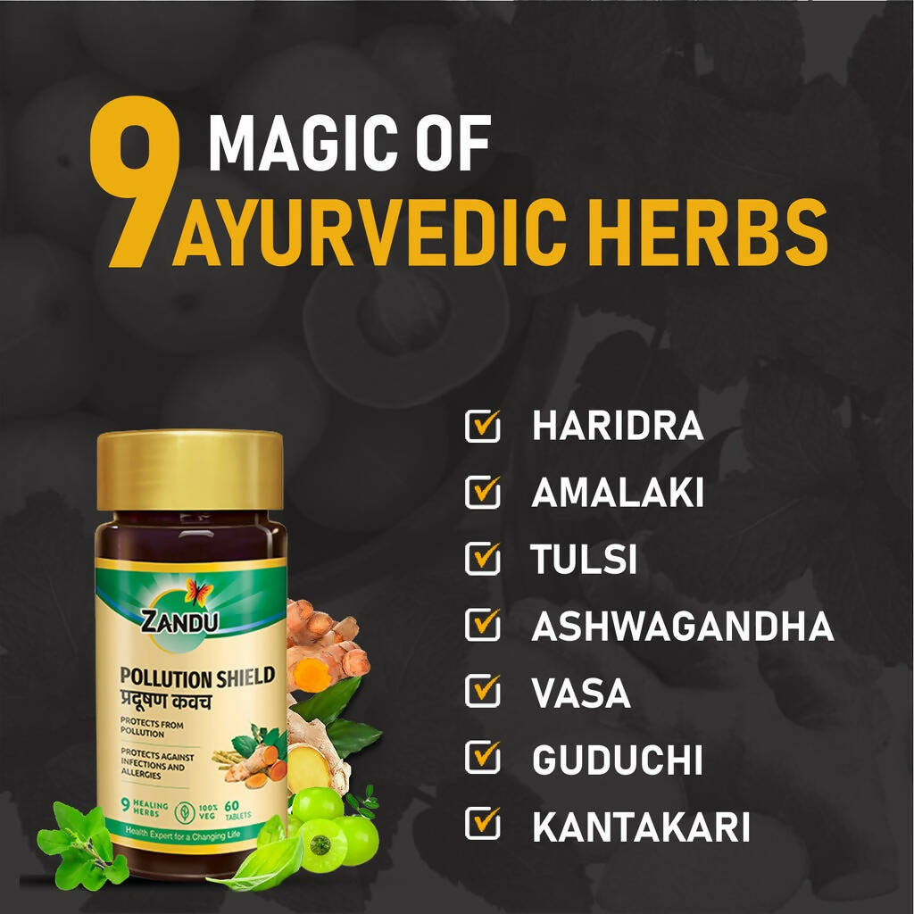 Zandu Pollution Shield Tablets - Grab2buy