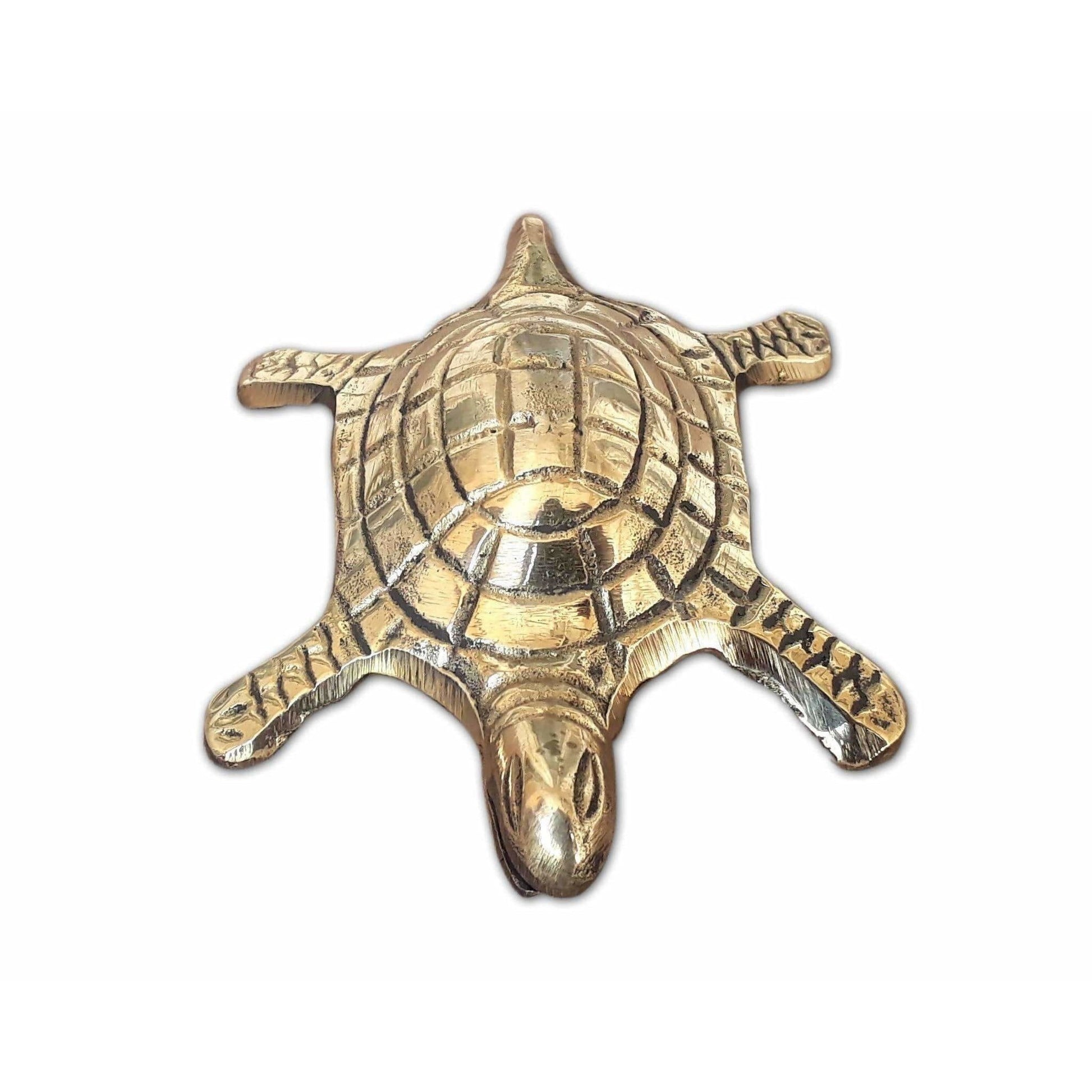 Tortoise with Small Brass Plate - Grab2buy