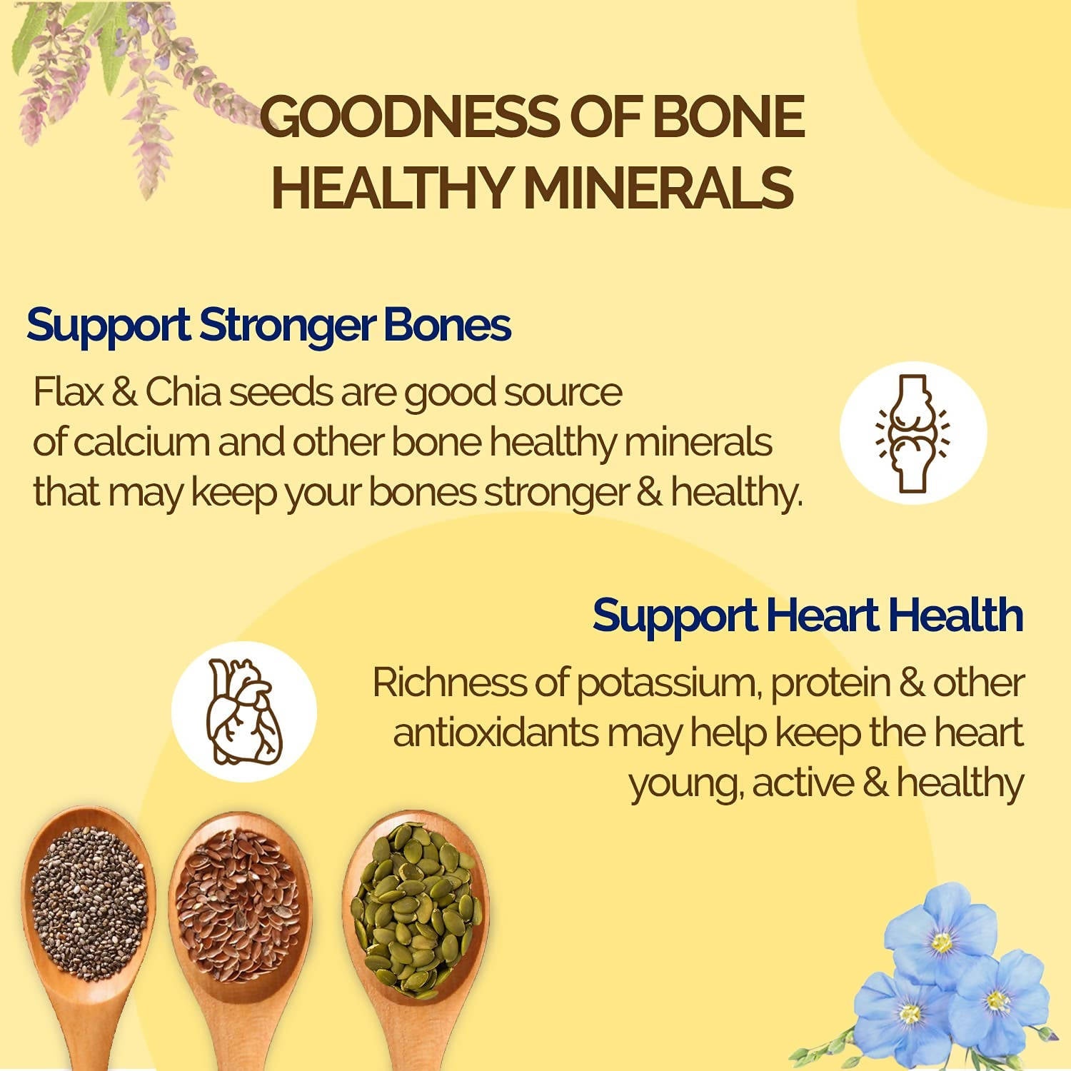 Benefits of Pumpkin Seeds