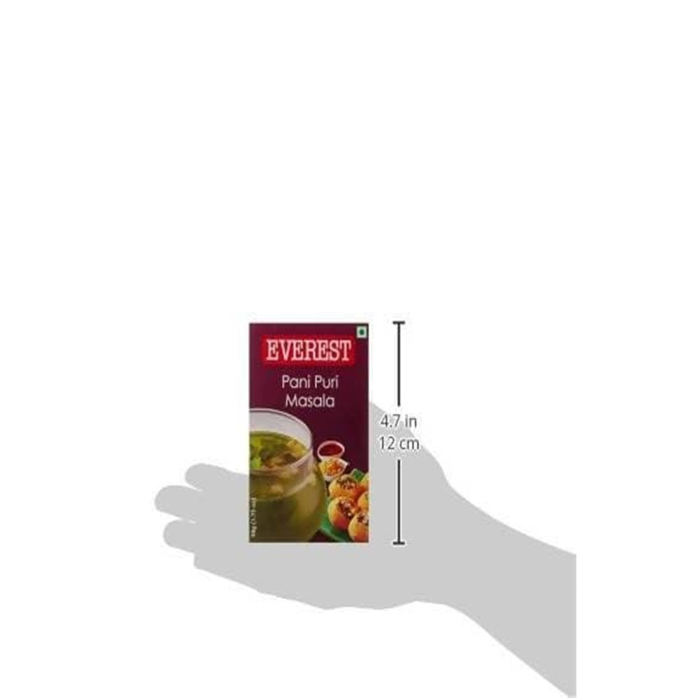 Everest Pani Puri Masala Powder