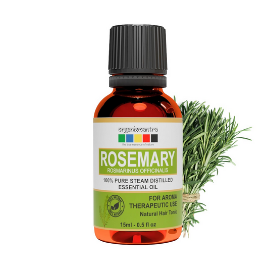Rosemary Hair Oil USA Buying Guide 2026 | Grab2Buy