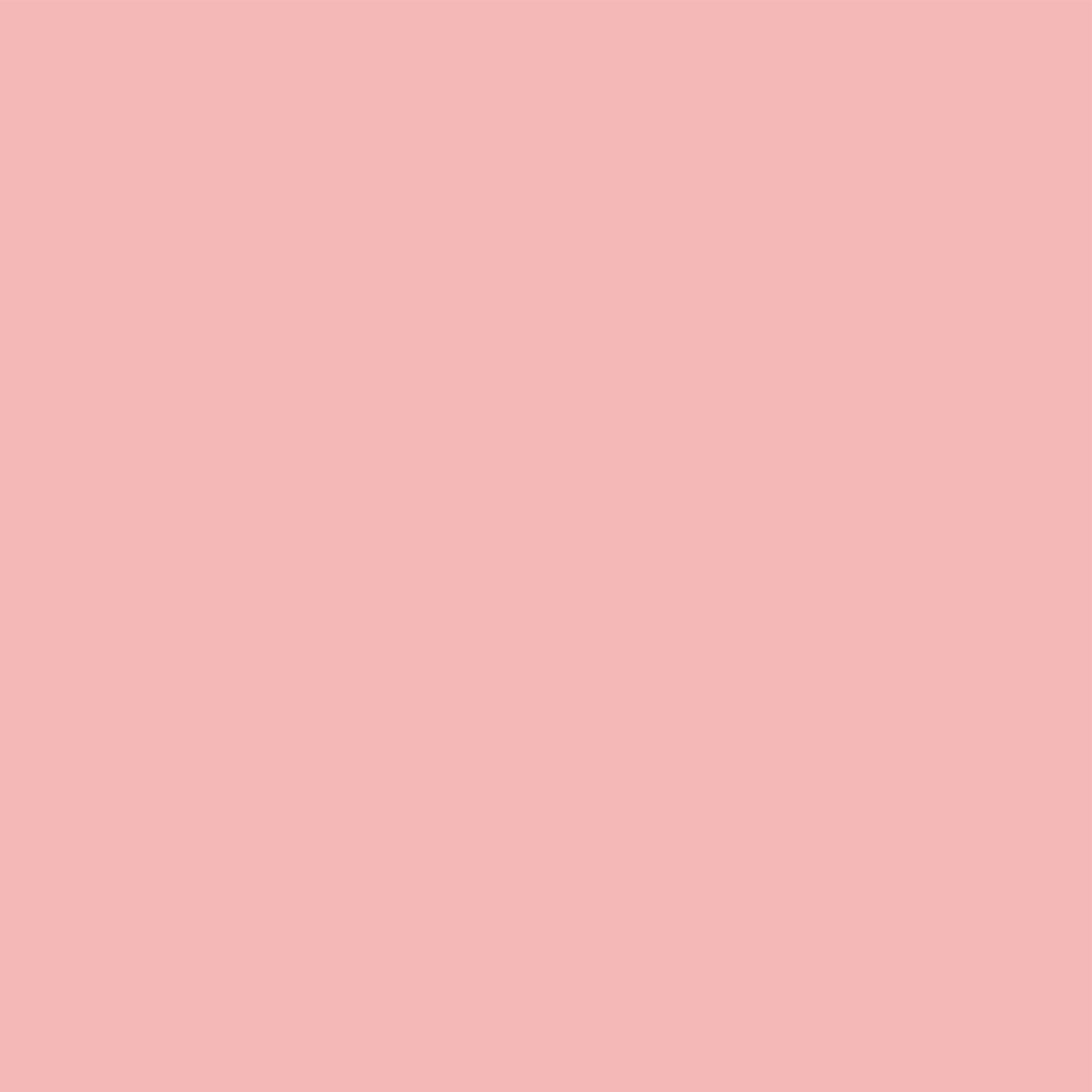 Matt Look Concealer & Anticernes SPF 20 - Rose 