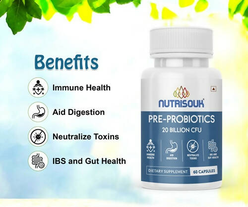 Nutrisouk Pre-Probiotics 20 Billion CFU Capsules - Grab2buy