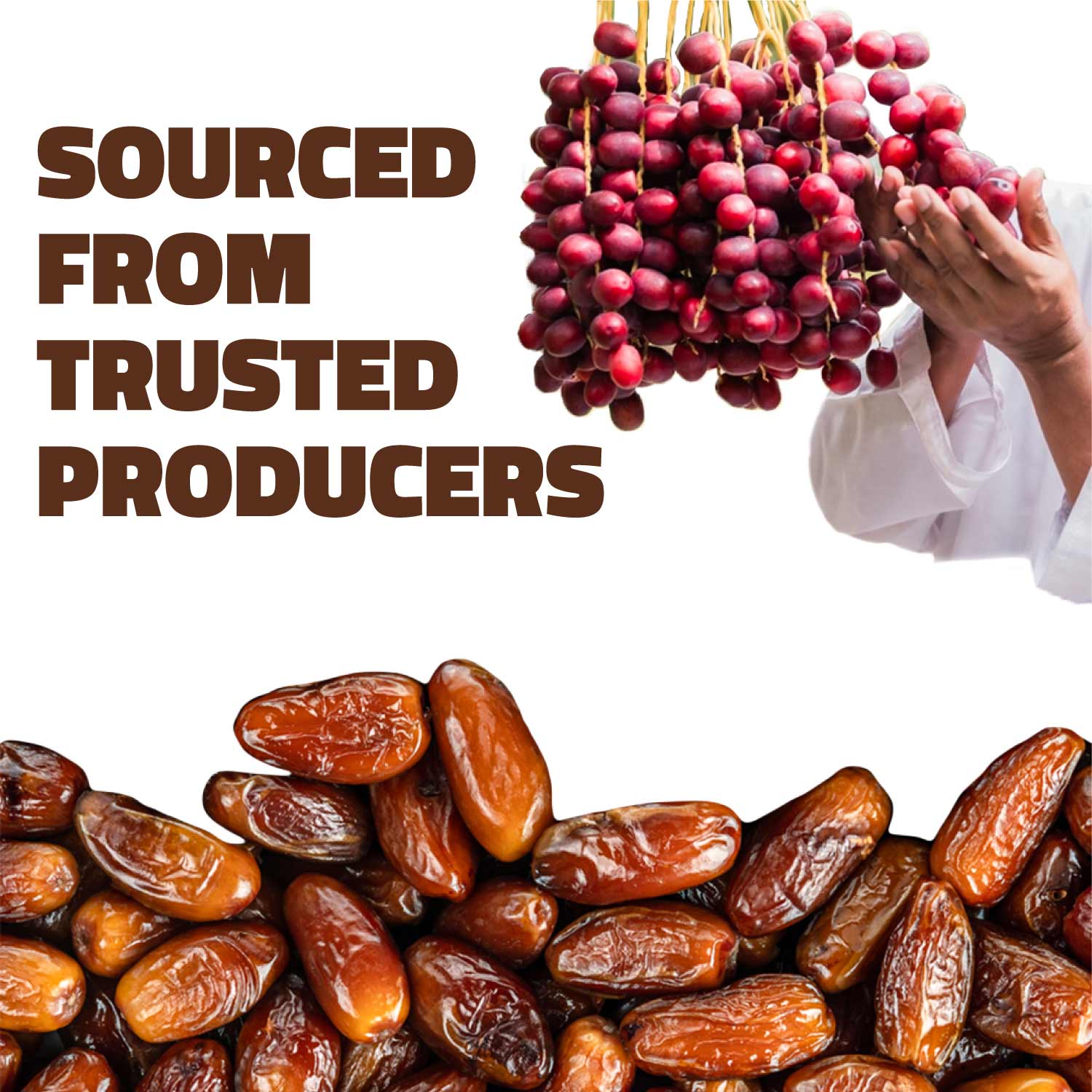 Farmley Omani Fard Dates