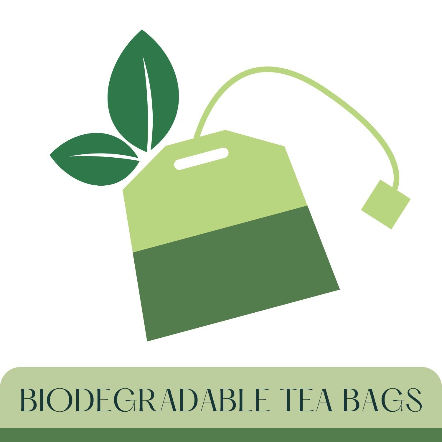 Satvi Wellness Beetroot Tea | Beetroot Tea Bags 