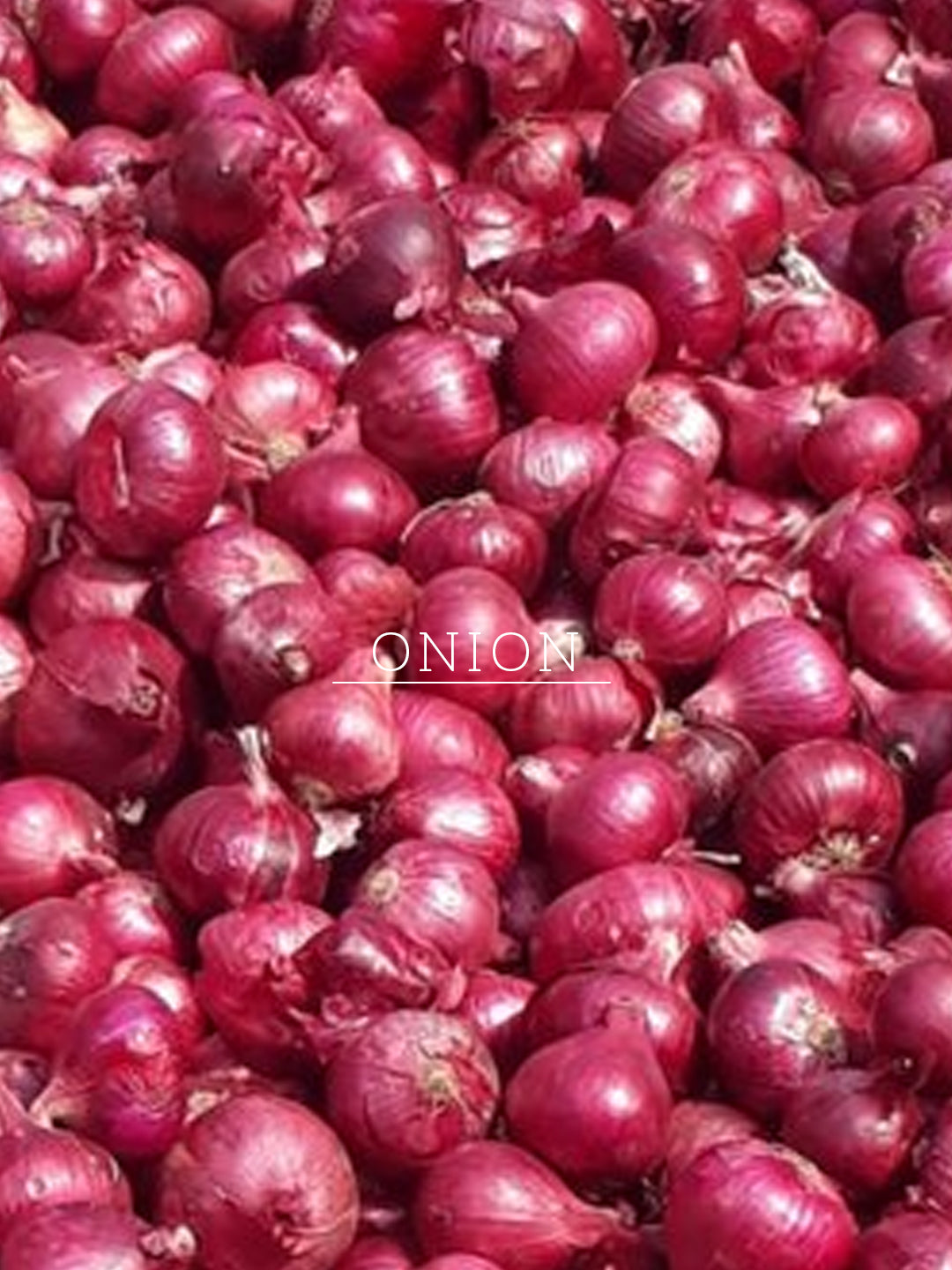 Khadi Natural Onion & Fenugreek Hair Oil - Mineral Oil, Silicones, Synthetic Fragrance Free - 200ml 