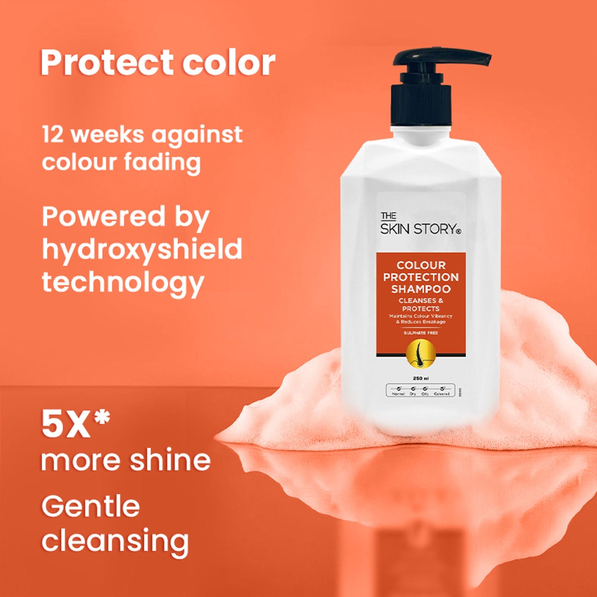 The Skin Story Colour Protection Shampoo For Vibrant Soft Shiny Hair  Grab2Buy The Skin Story Grab2Buy