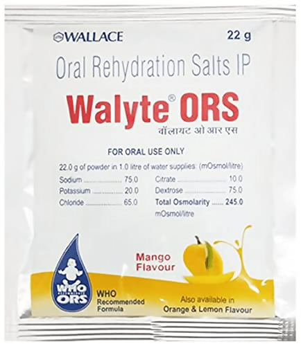 Walyte ORS For Instant Hydration & Electrolyte Balance  Grab2Buy Generic Grab2Buy