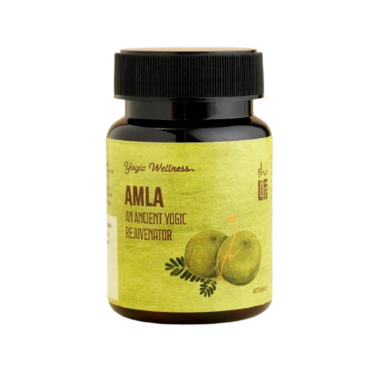 Isha Life Amla Tablet 
