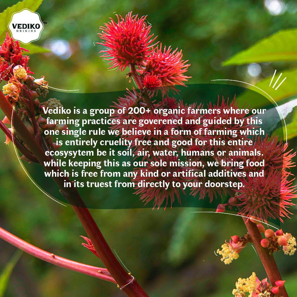 Vediko Origins Castor Oil  Grab2Buy Vediko Origins Grab2Buy