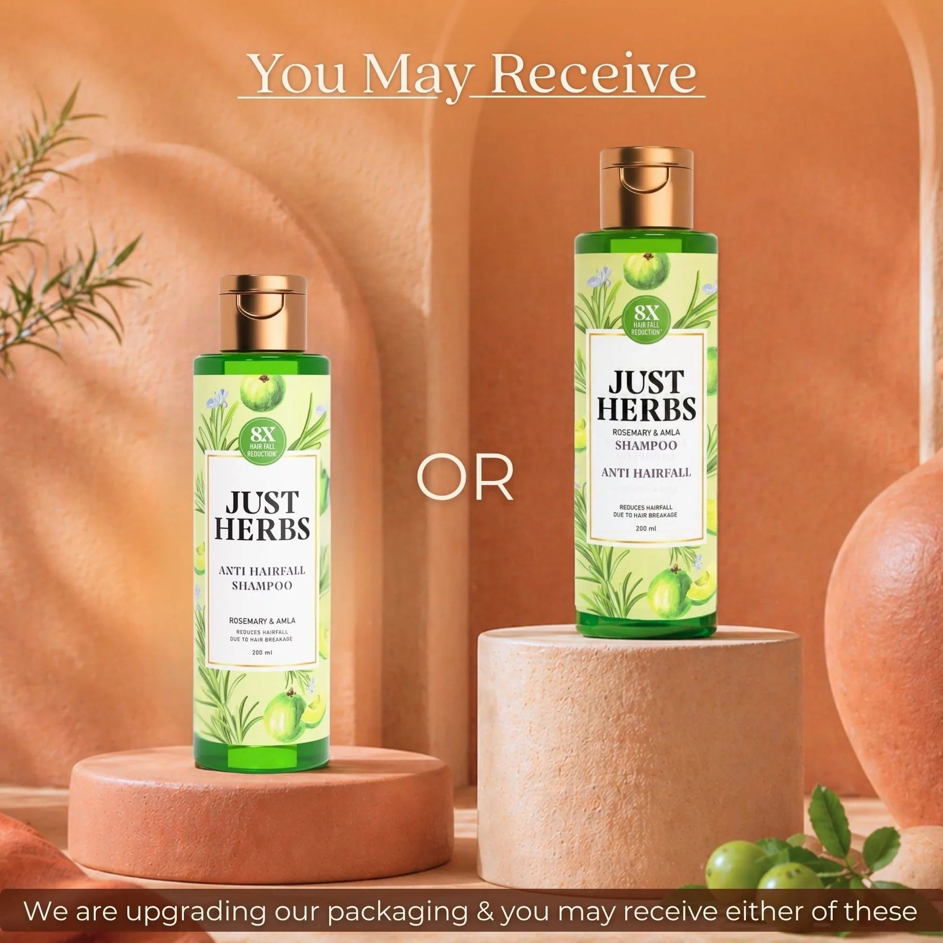 Anti Hairfall Shampoo | Rosemary, Amla & 12 Herbs 