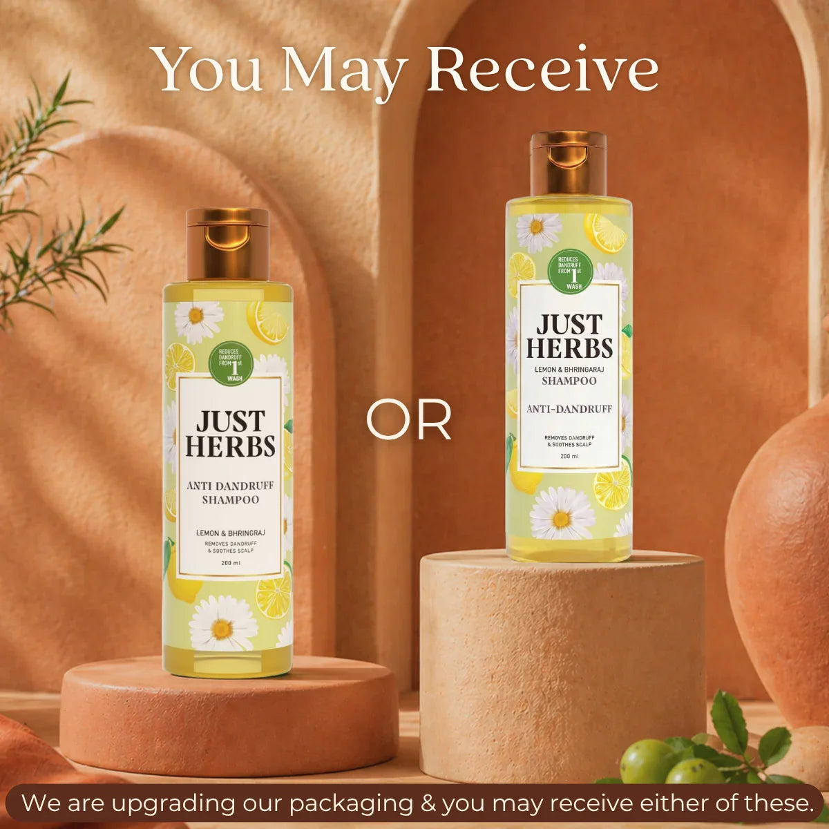Anti Dandruff Shampoo | Lemon, Bhringraj & 12 Herbs 