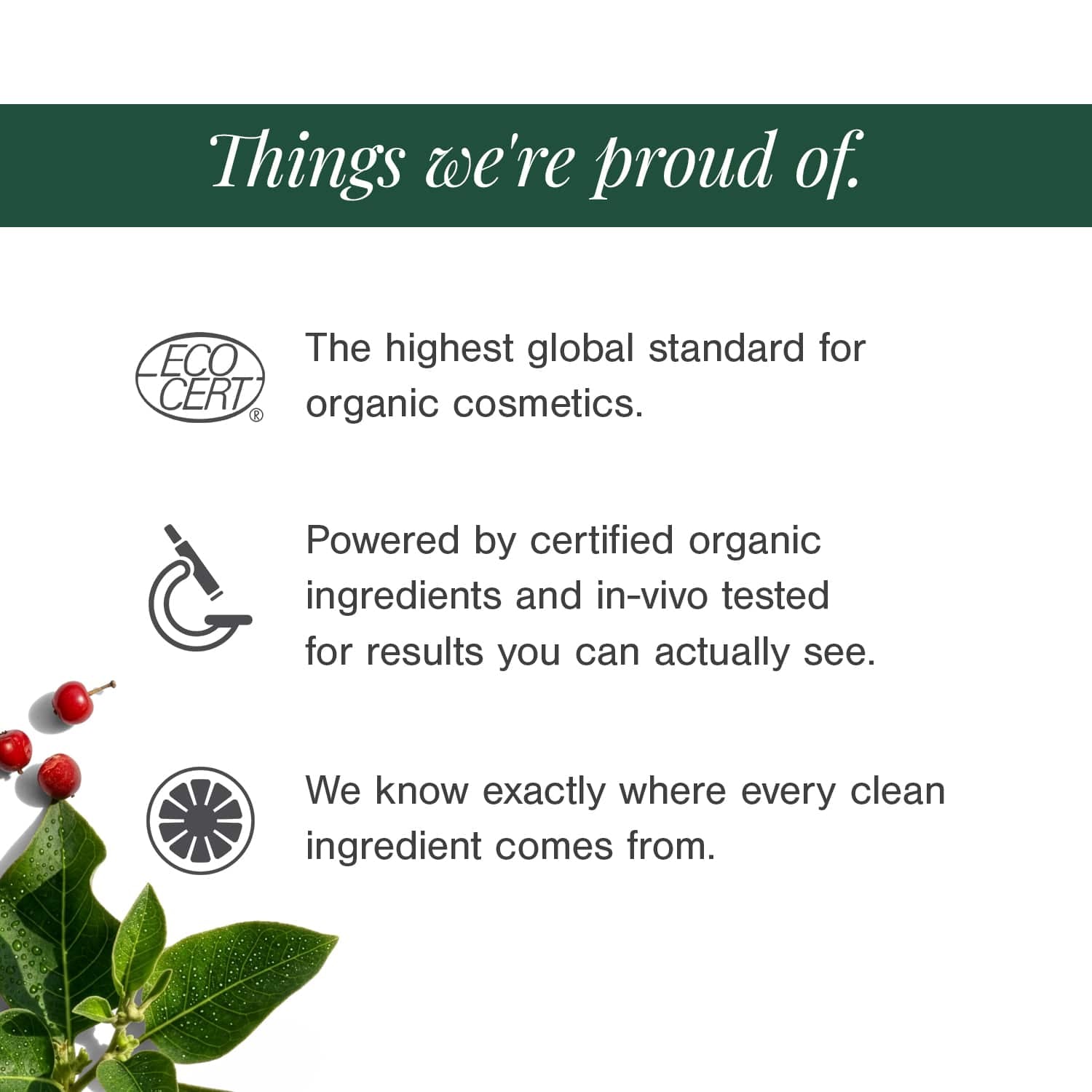 10% Niacinamide + 2% Ectoin Face Serum 