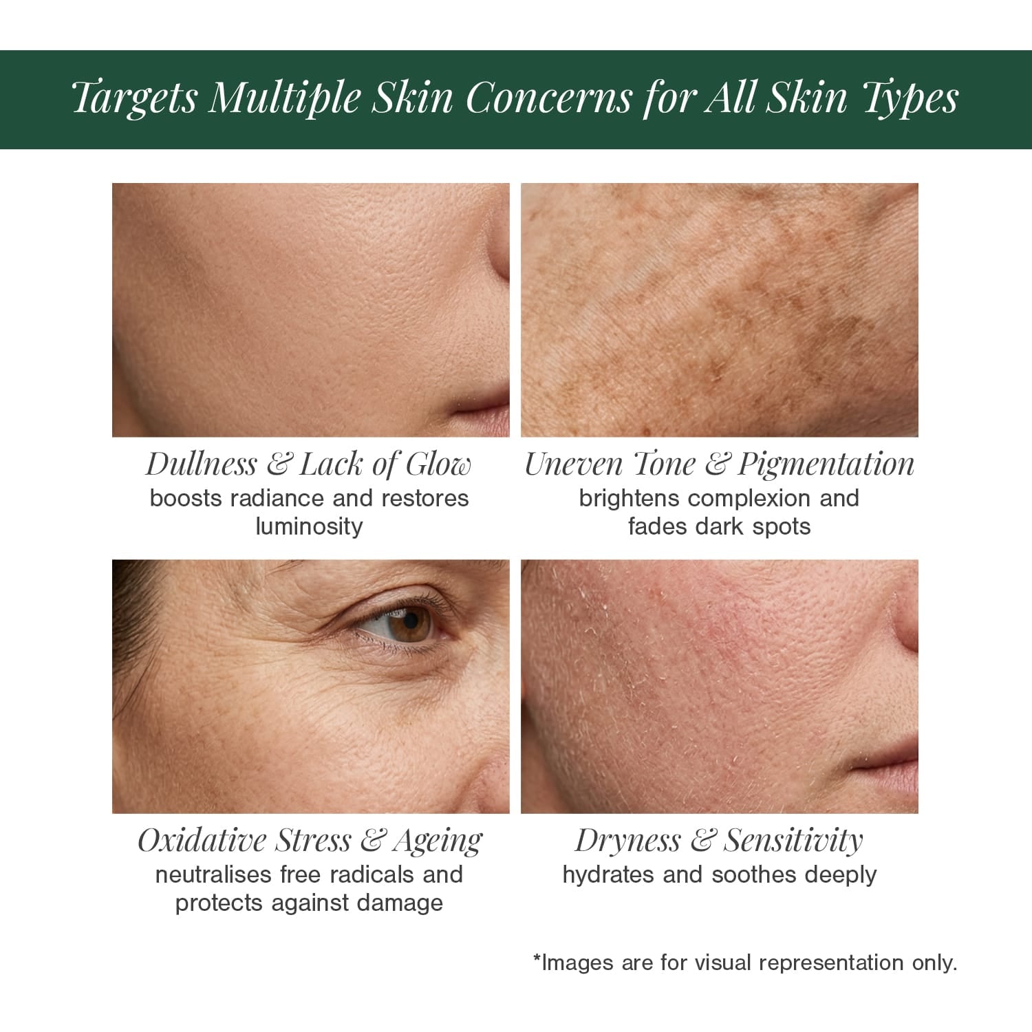 10% Vitamin C + EGCG Face Serum 
