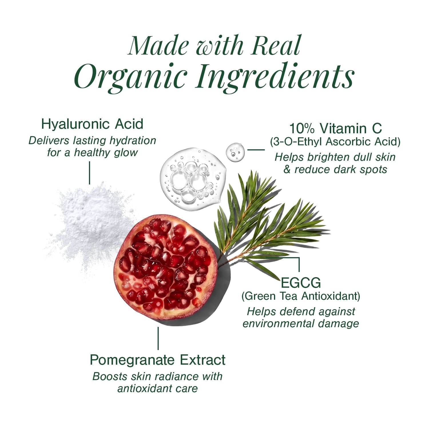 10% Vitamin C + EGCG Face Serum 