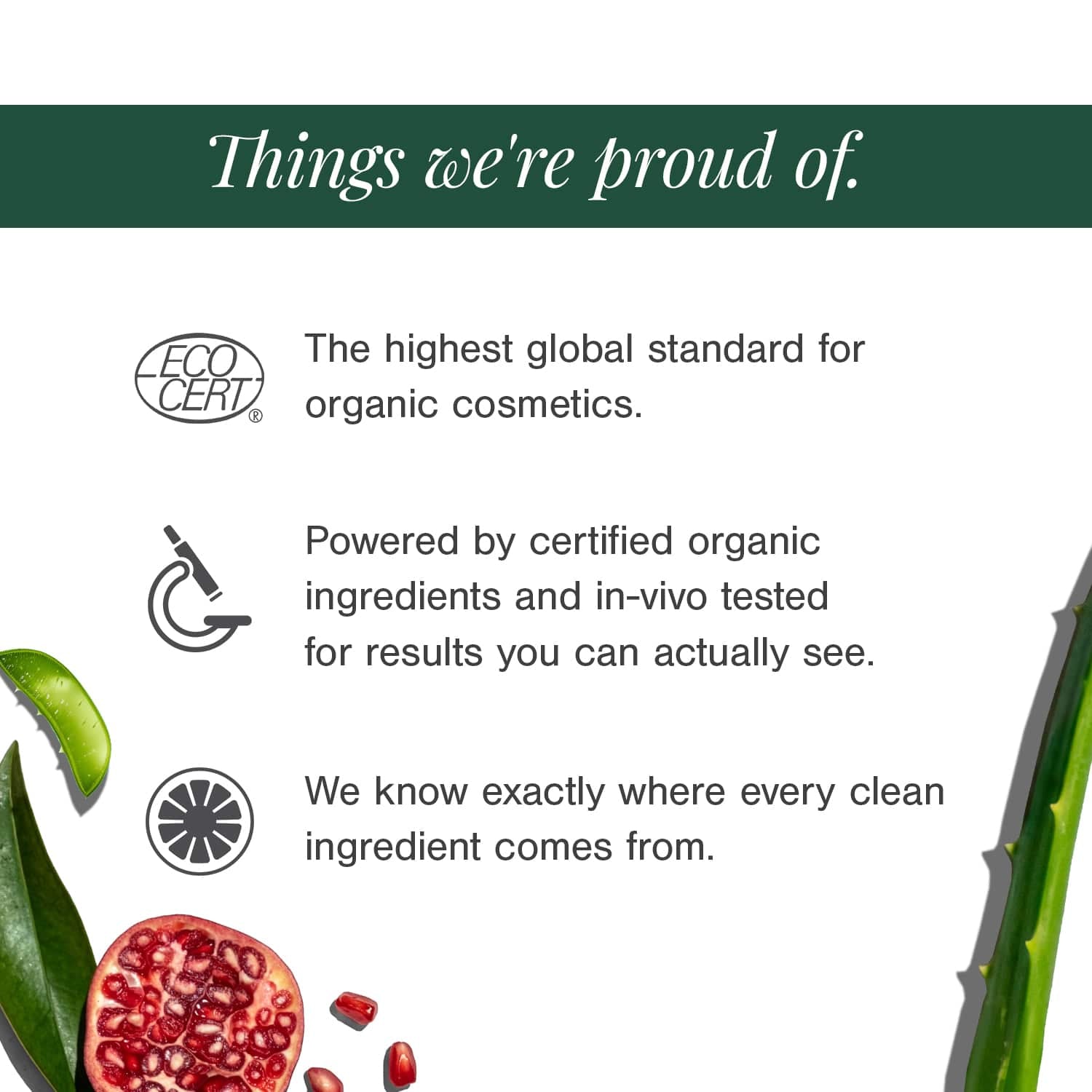 10% Vitamin C + EGCG Face Serum 