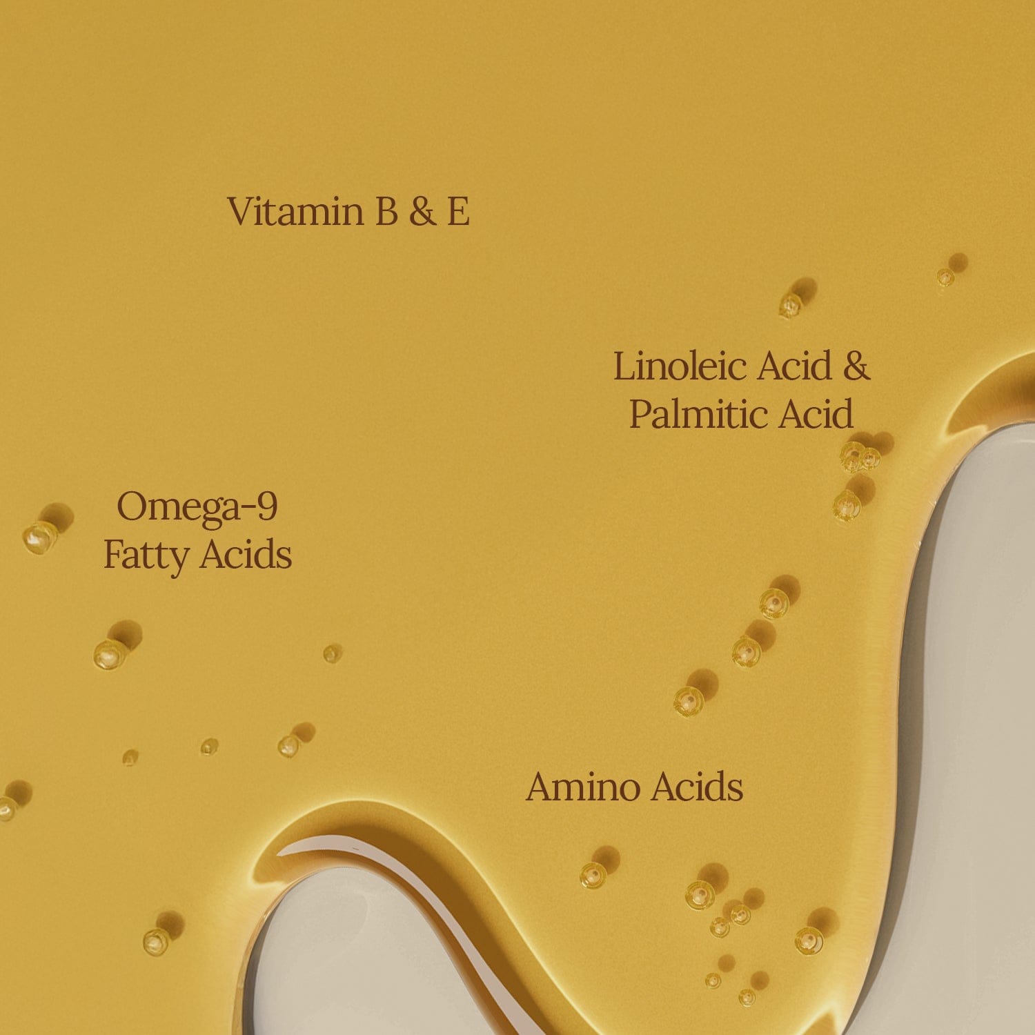 Organic Jojoba Oil 