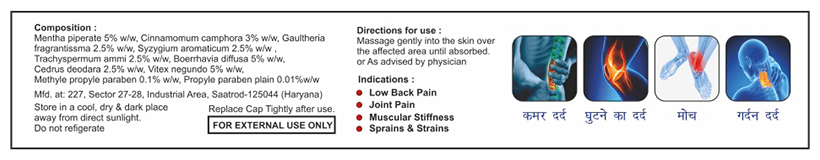 Sagius Ayugesic Ointment 