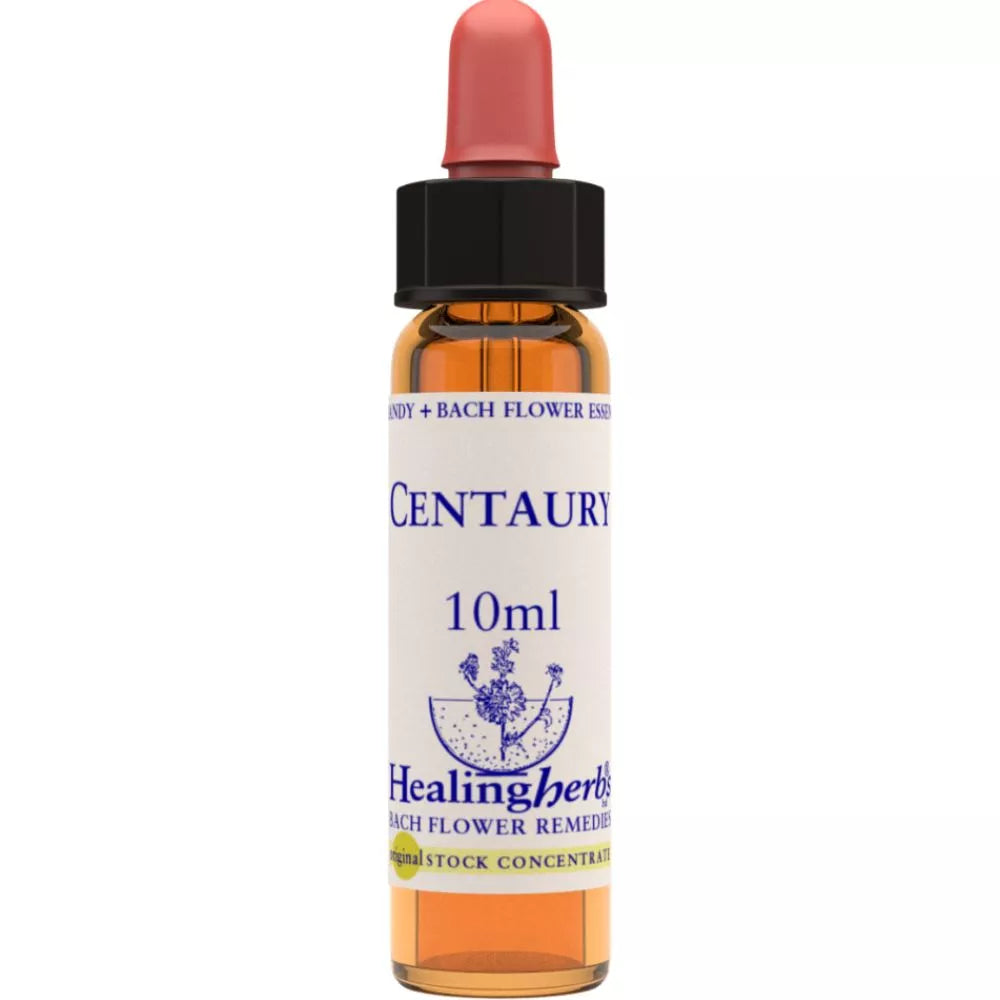 Healing Herbs Centauryd
